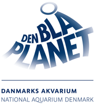 Den Blå Planet, Danmarks Akvarium>